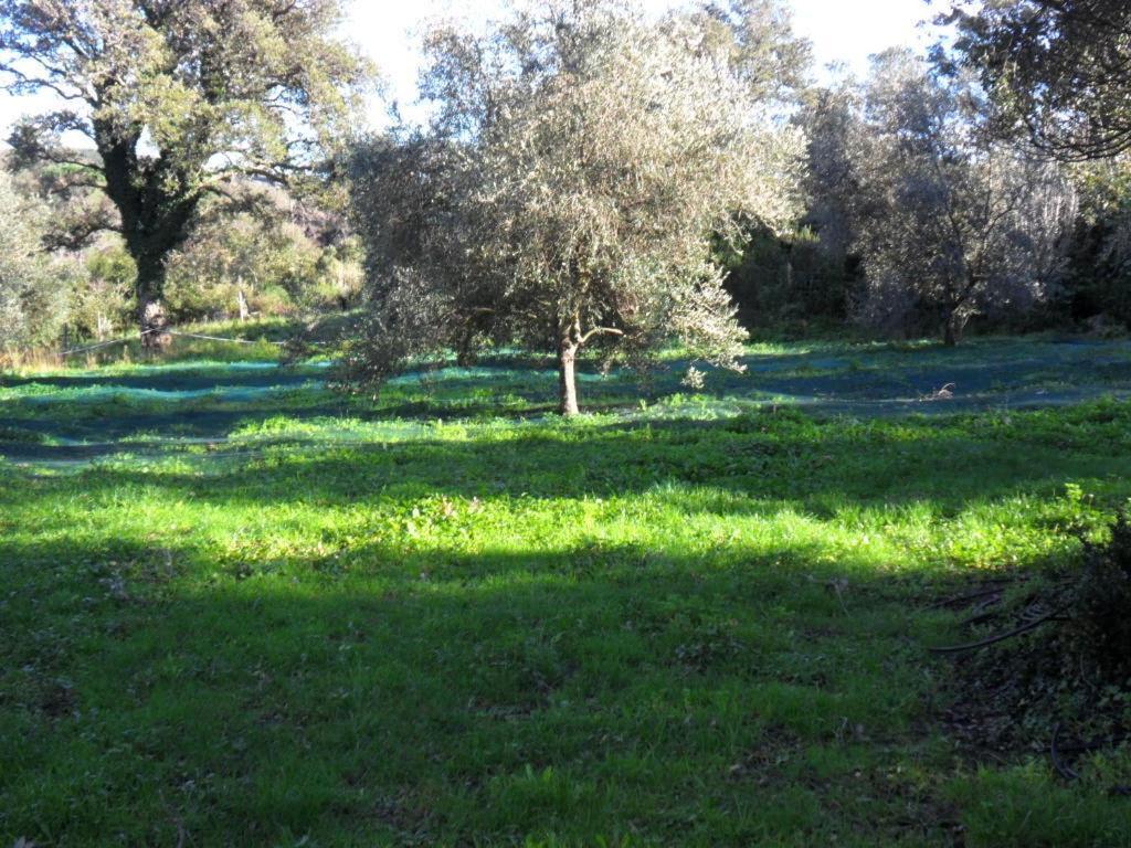 Oreta Gite U Licetu A La Campagne المظهر الخارجي الصورة